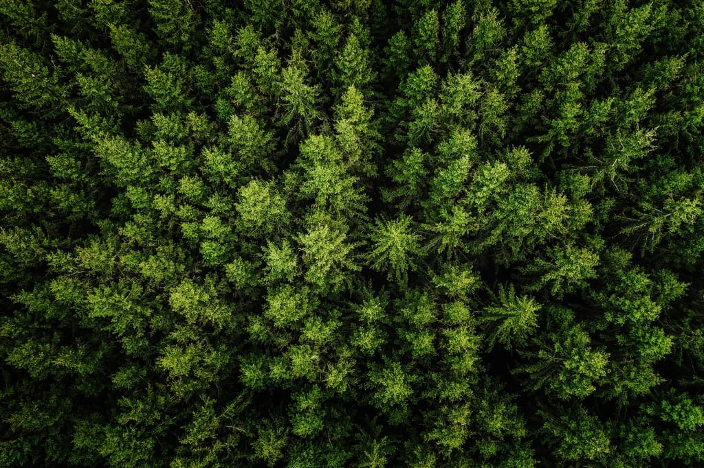 Tick-Borne Encephalitis Vaccine image