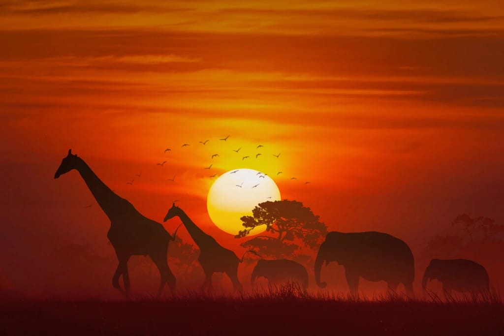 Rabies Vaccine image